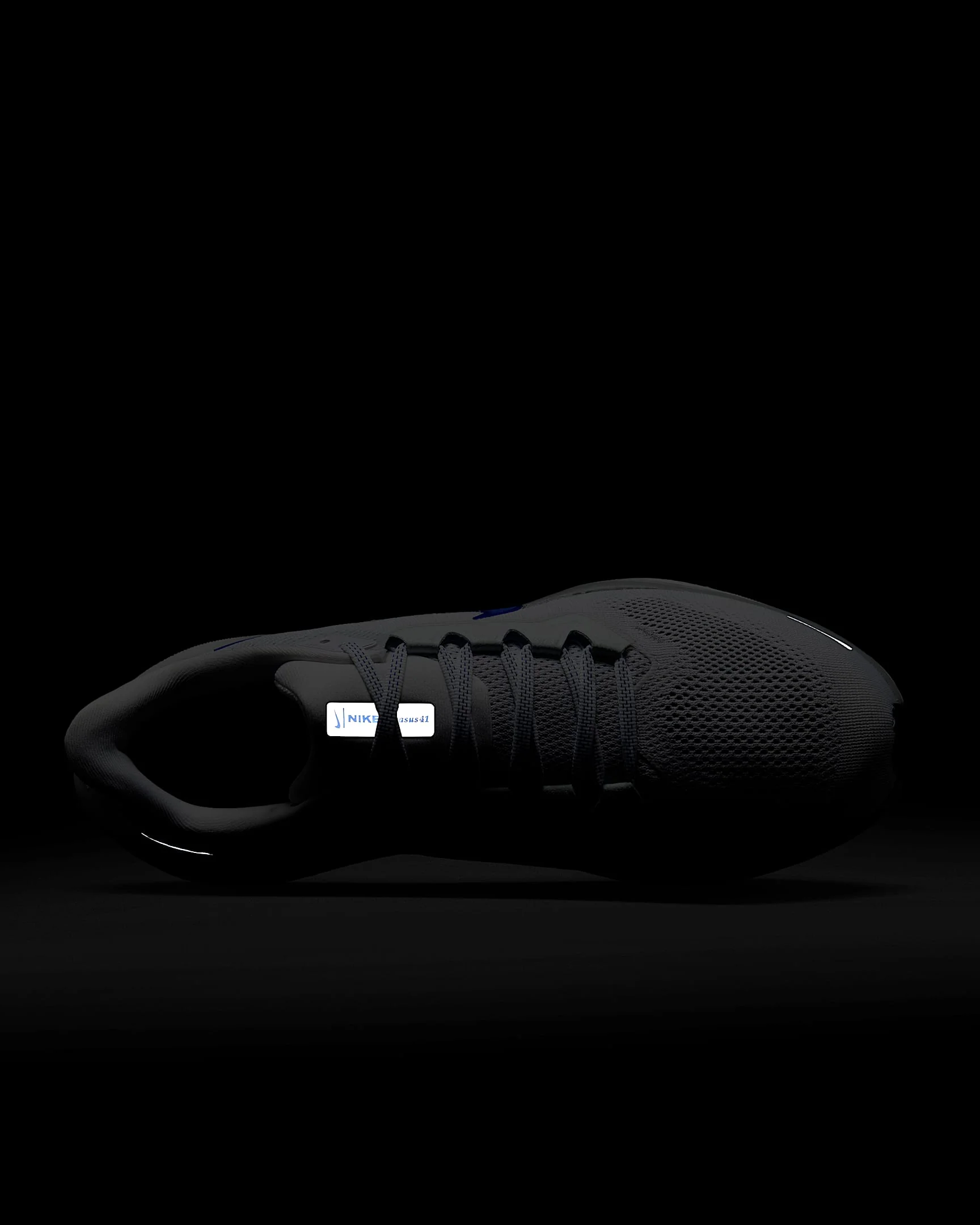 Air Zoom Pegasus 41 - Image 111