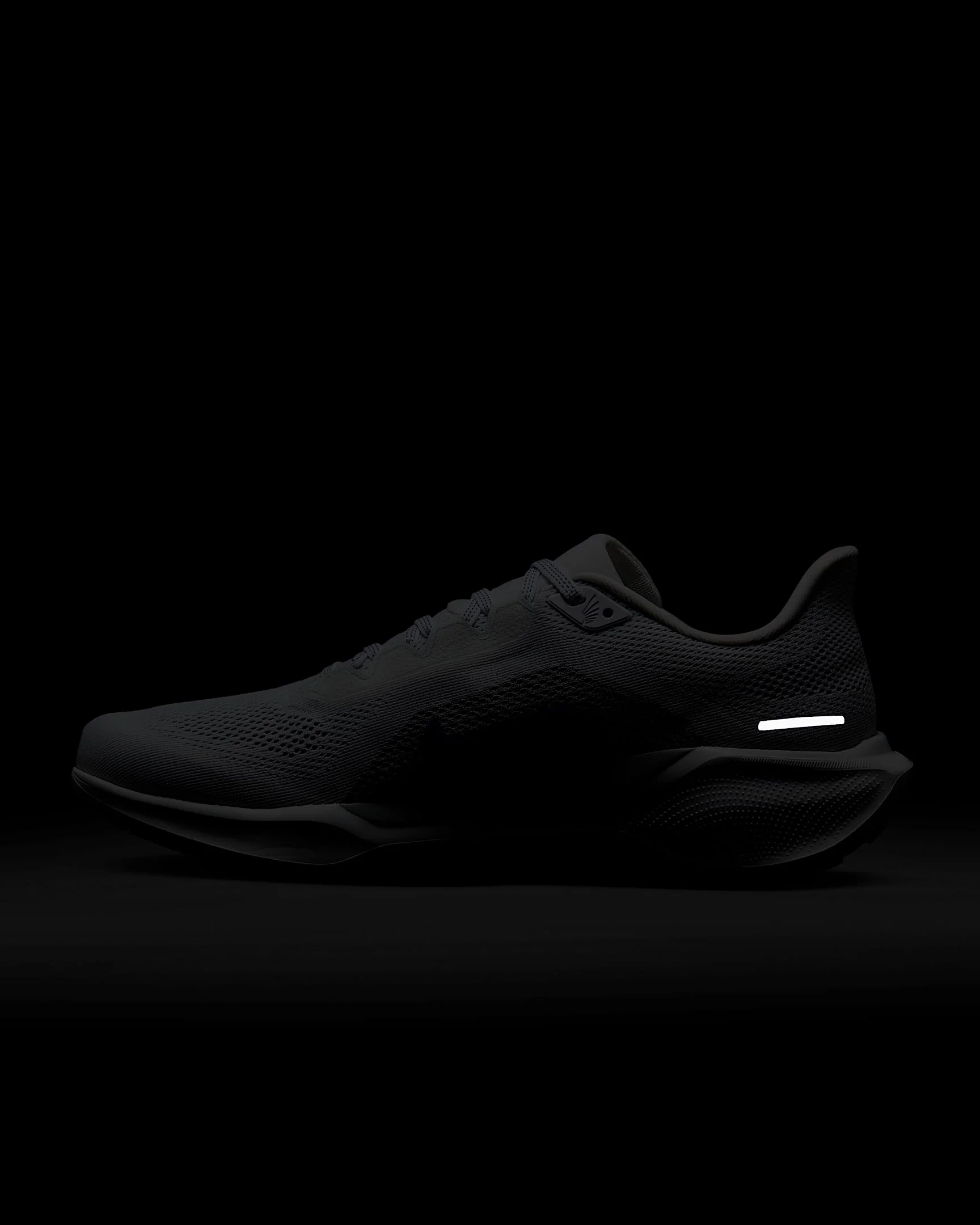 Air Zoom Pegasus 41 - Image 113