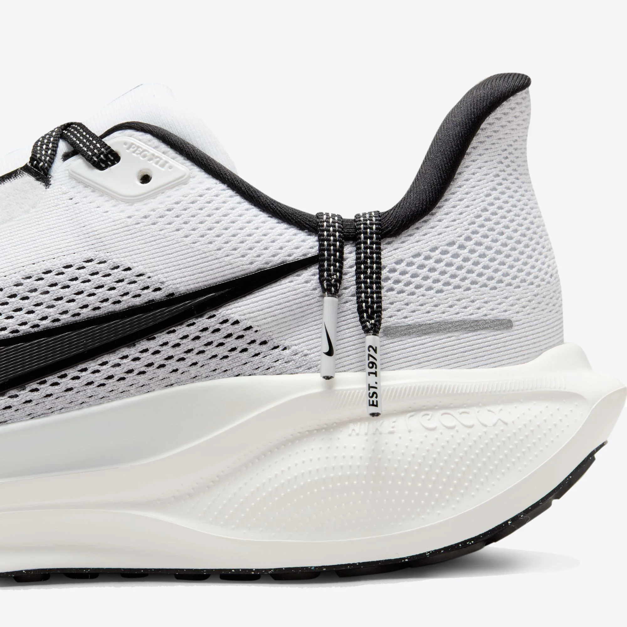 Air Zoom Pegasus 41 - Image 129