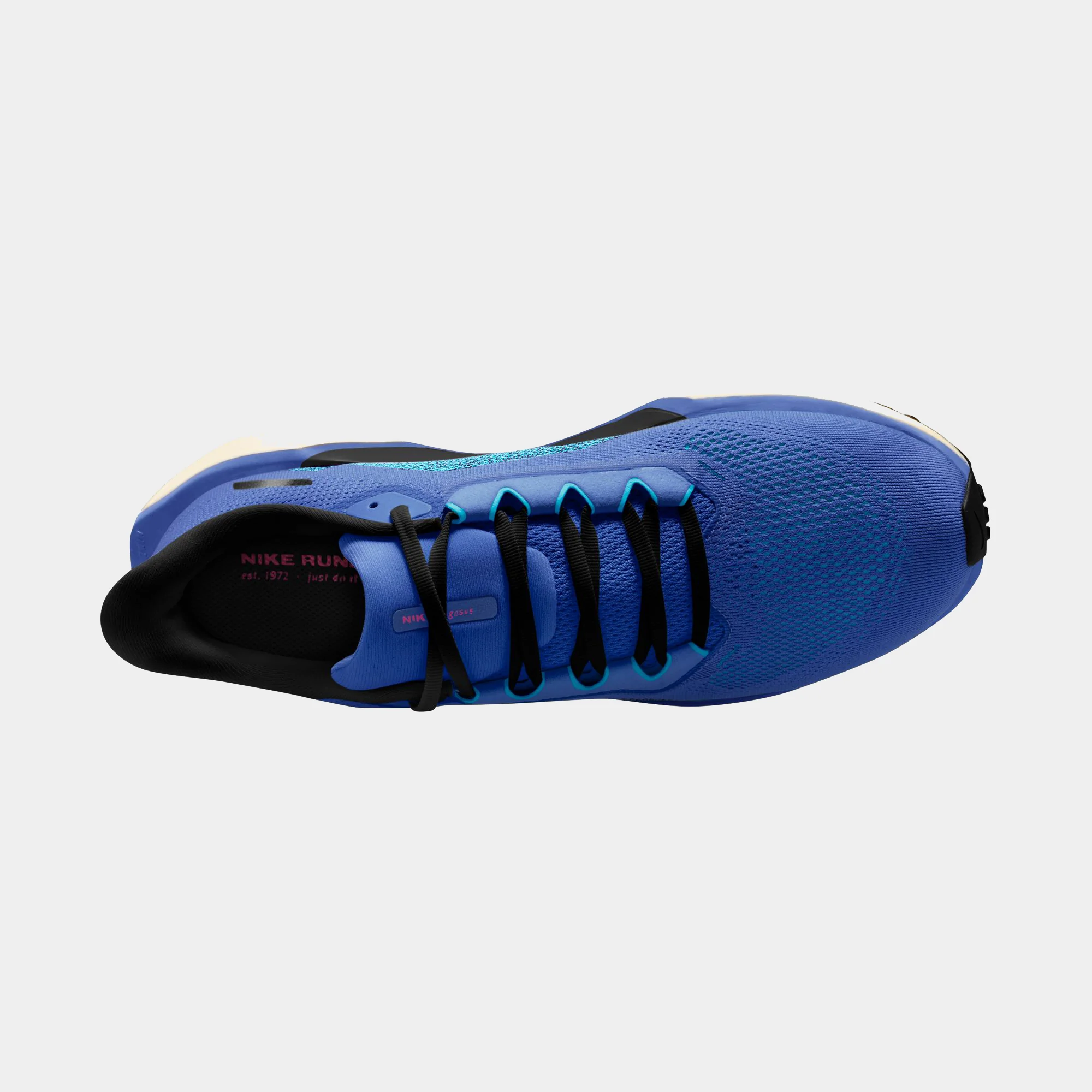 Air Zoom Pegasus 41 - Image 29