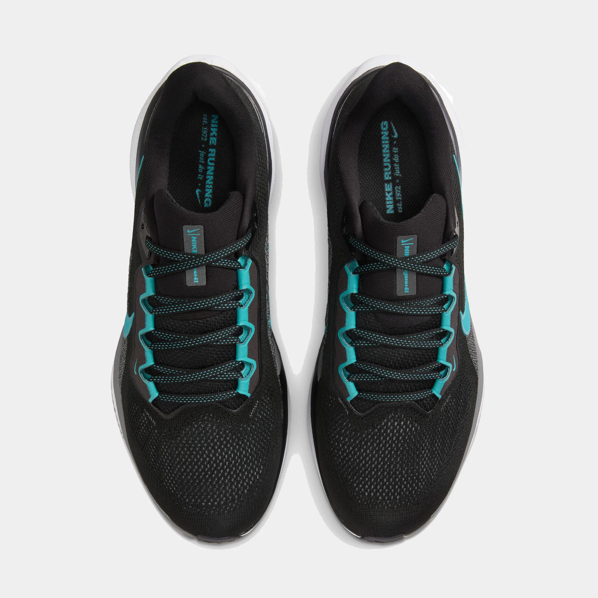 Air Zoom Pegasus 41 - Image 69