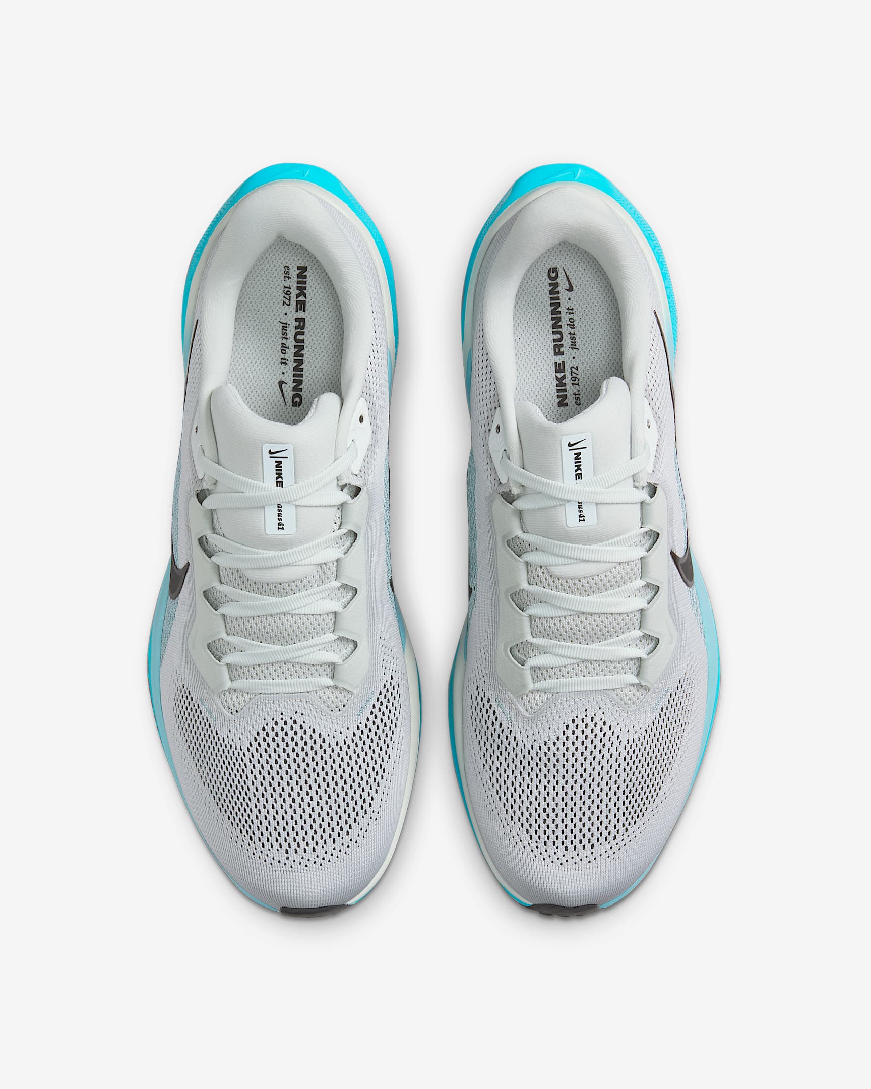 Air Zoom Pegasus 41 - Image 90