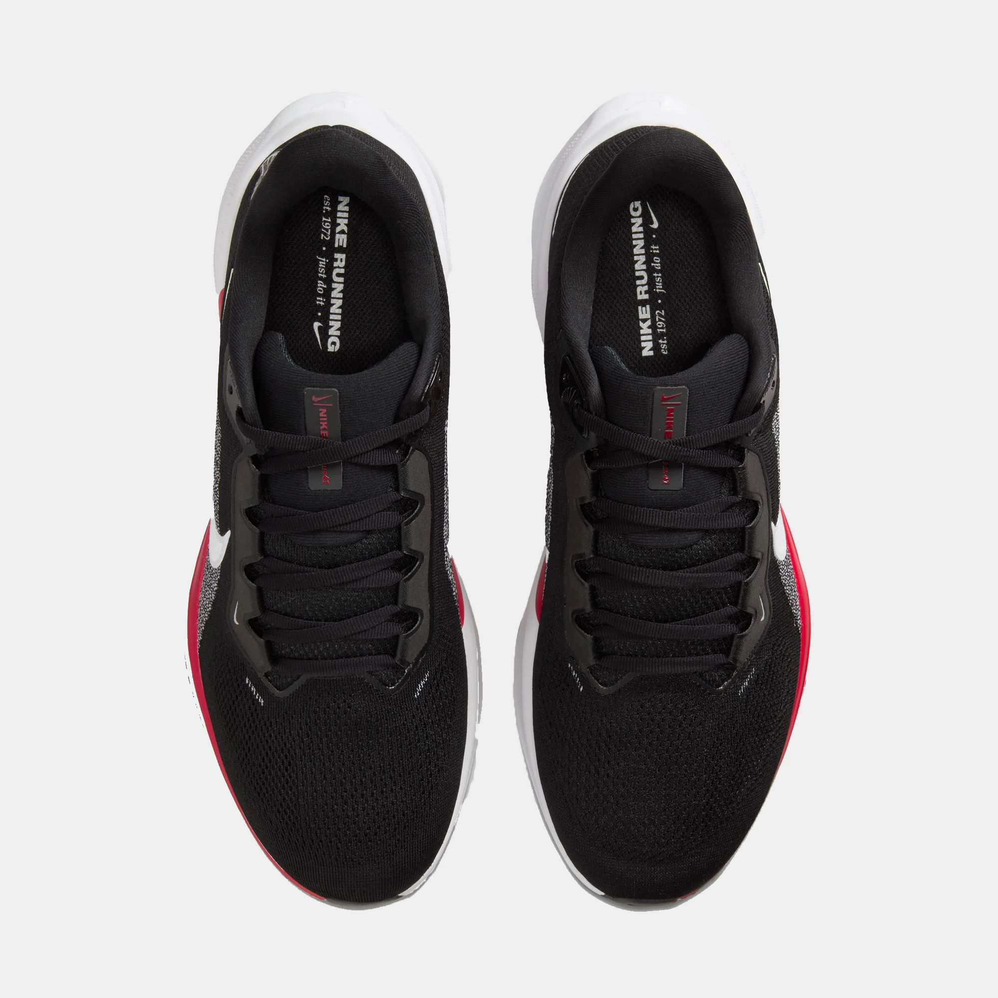 Atlanta Falcons Pegasus 41 - Image 8
