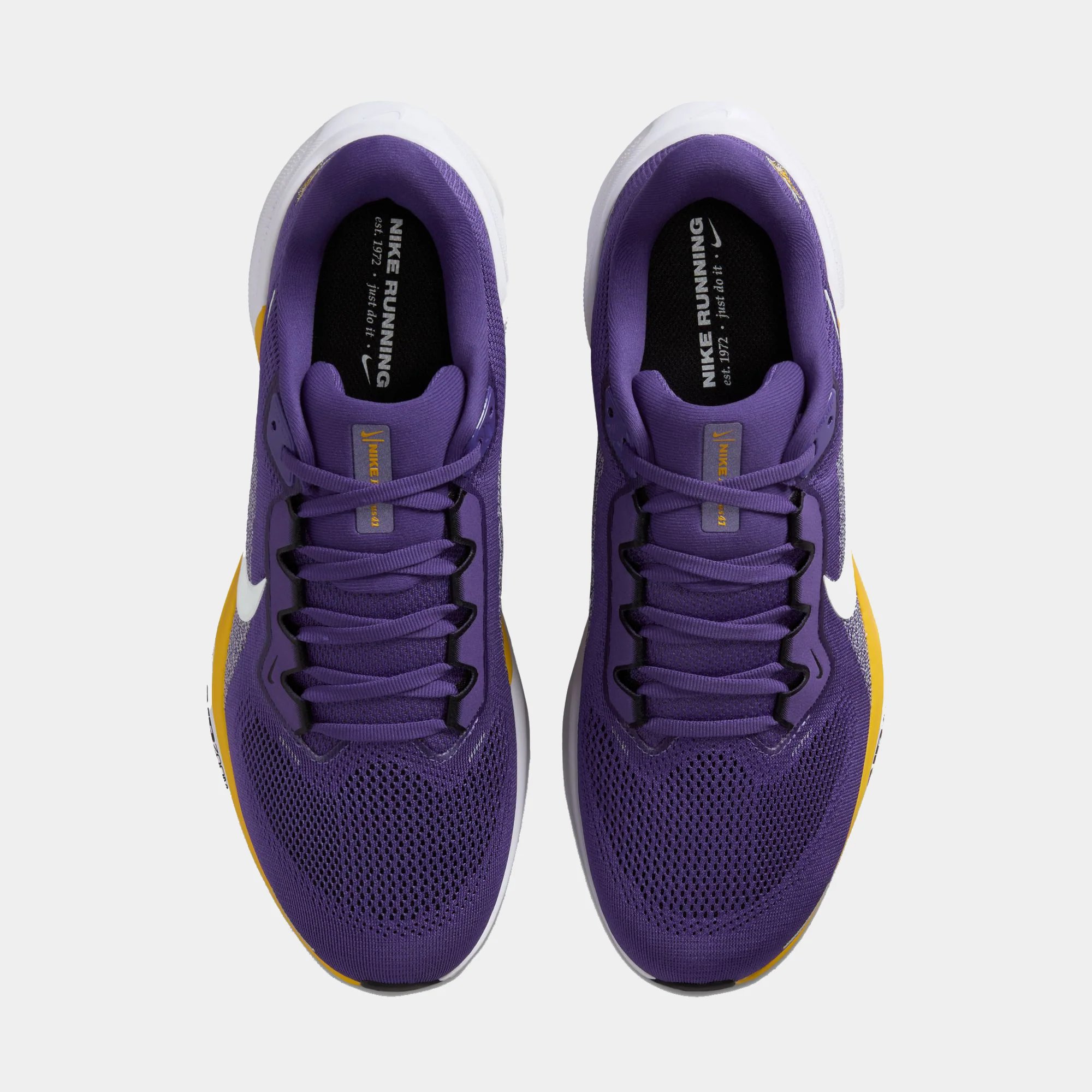 Minnesota Vikings Pegasus 41 - Image 6