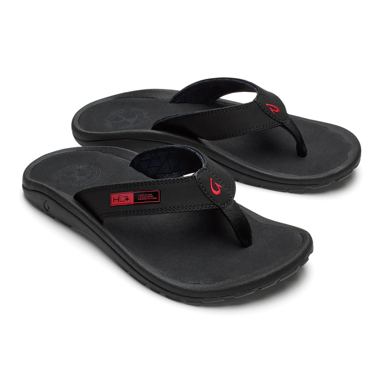 ‘Ohana - Image 2