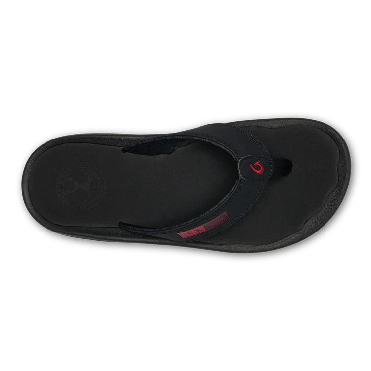 ‘Ohana - Image 4