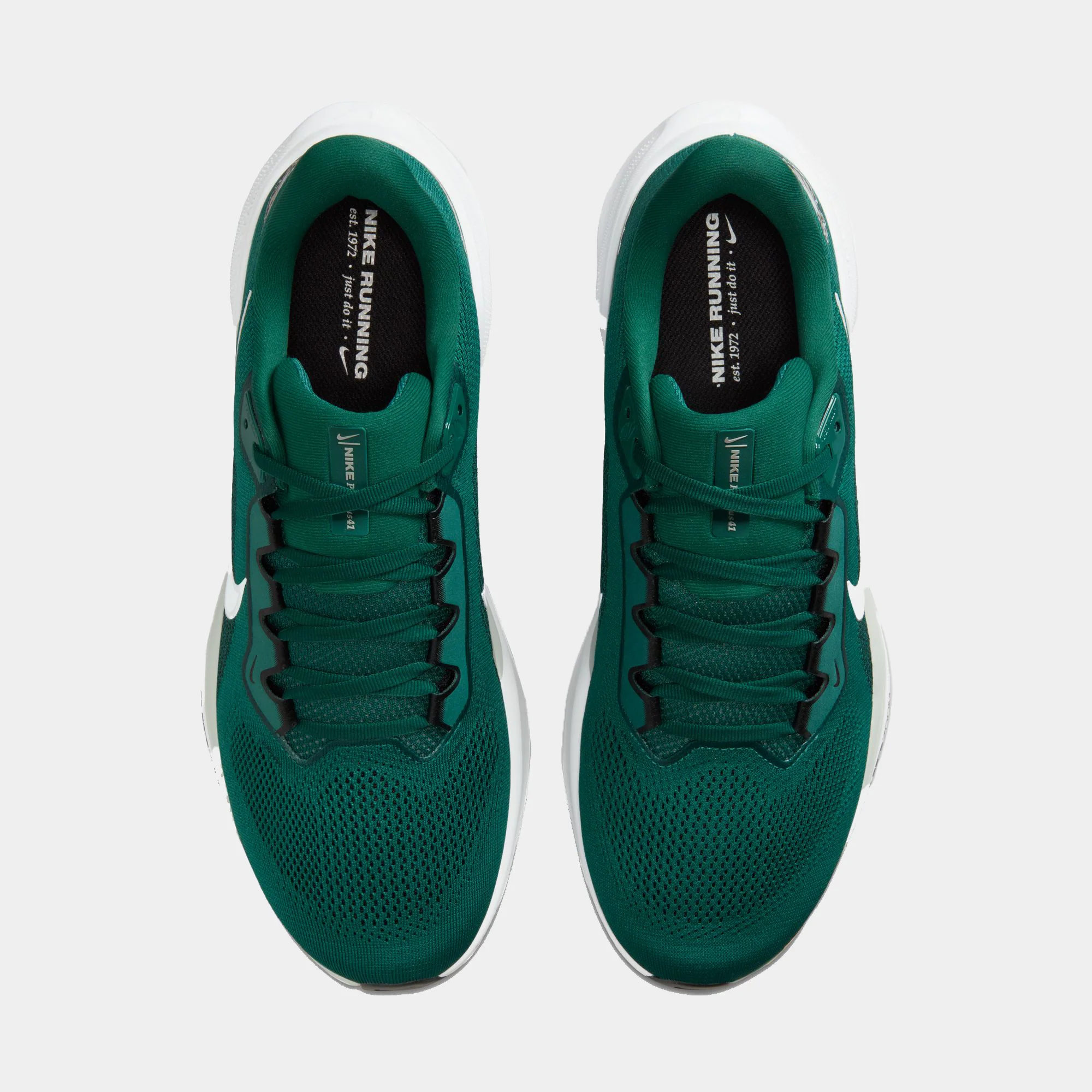 Philadelphia Eagles Pegasus 41 - Image 5