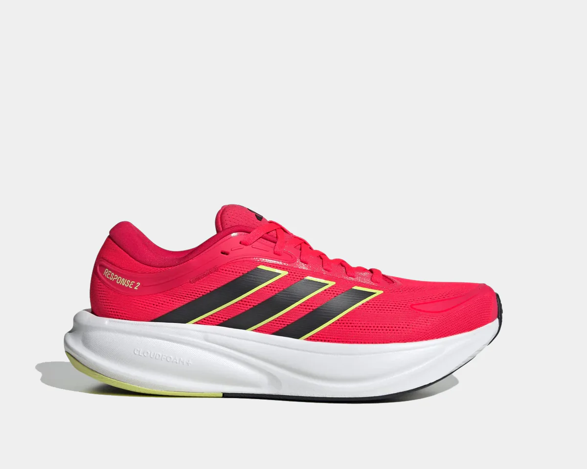 Response 2 - Image 10