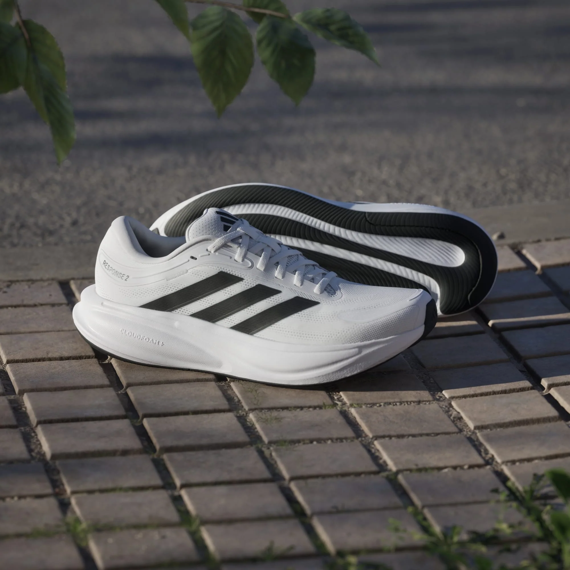 Response 2 - Image 9