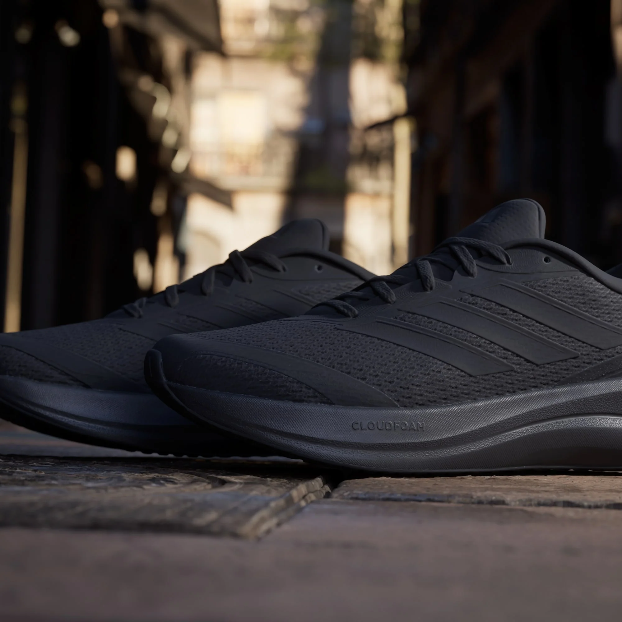 Runfalcon 6 - Image 18