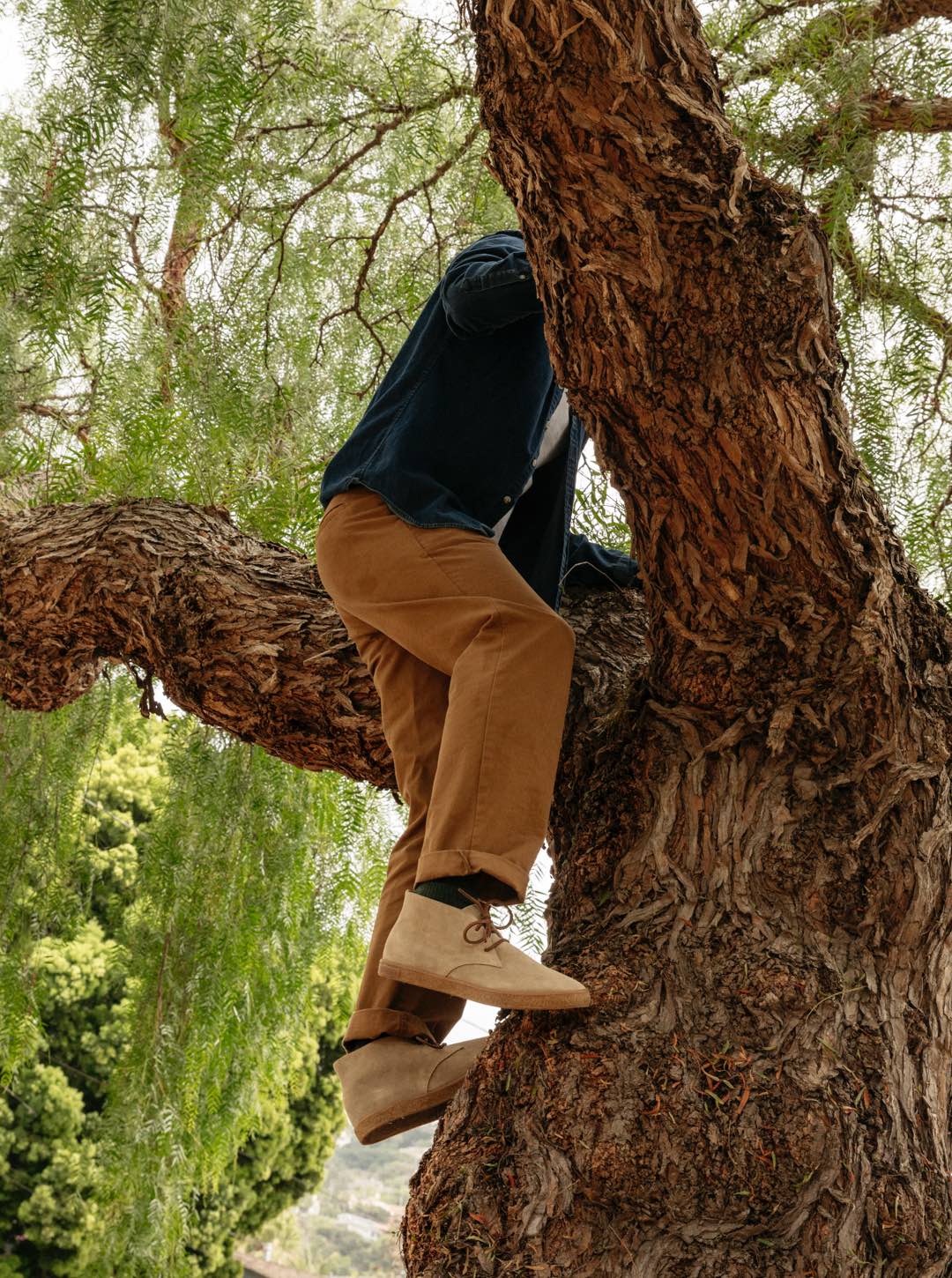 Sun-Tans Chukka - Image 22