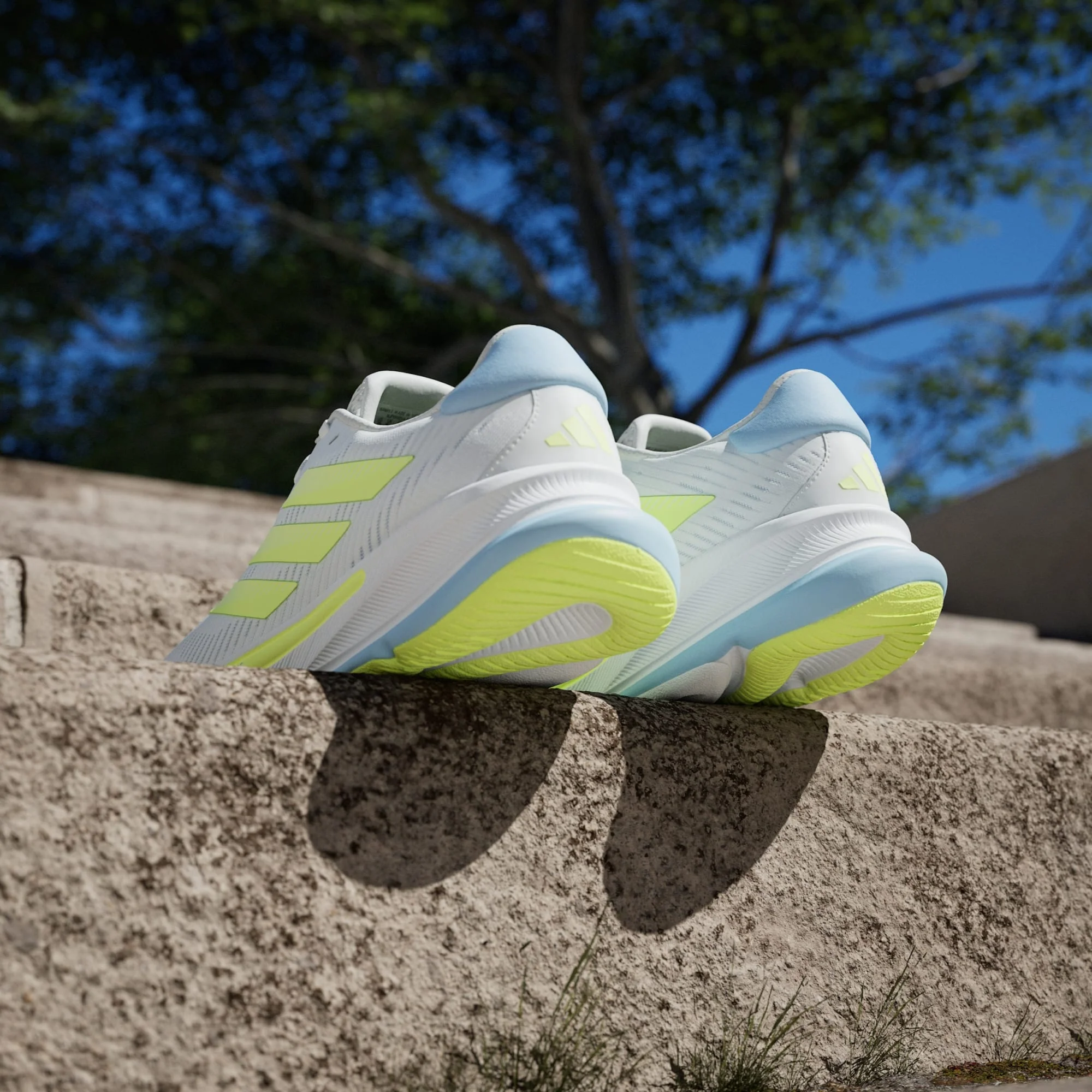 Supernova Ease - Image 11