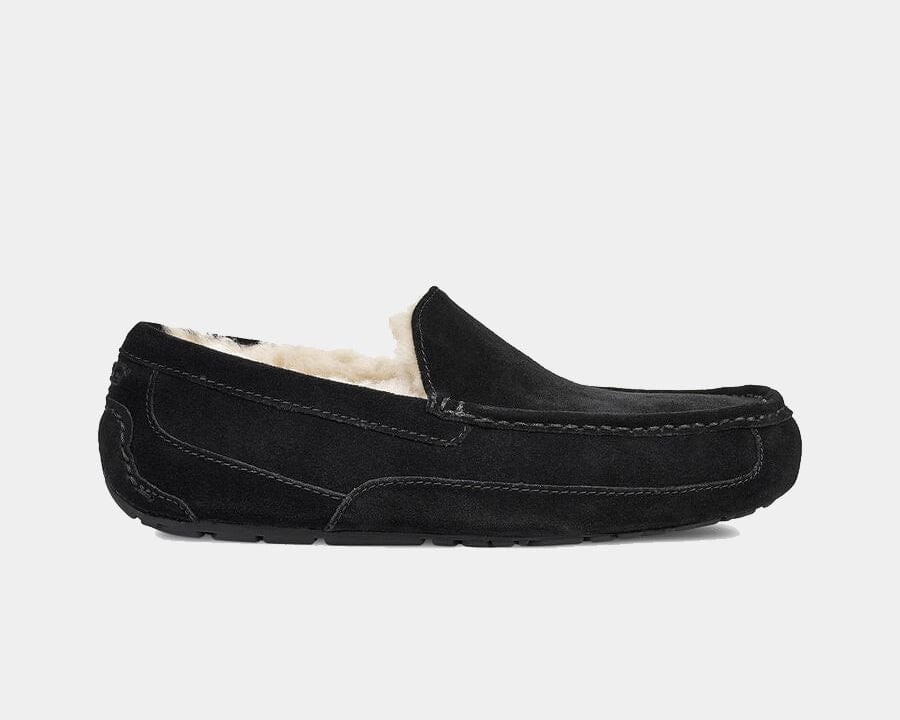 Ascot Suede - Image 12