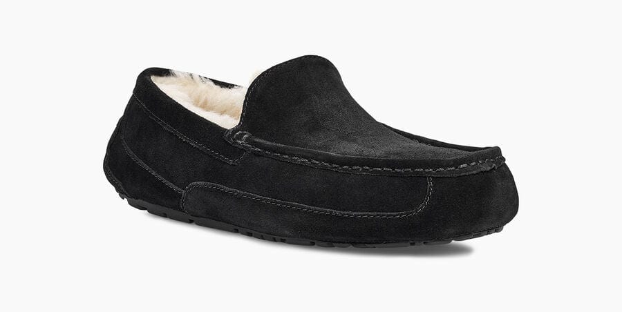 Ascot Suede - Image 13