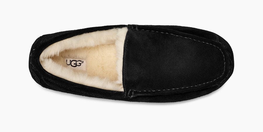 Ascot Suede - Image 14