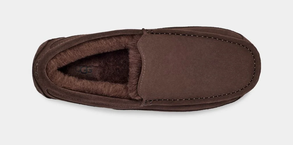 Ascot Suede - Image 19