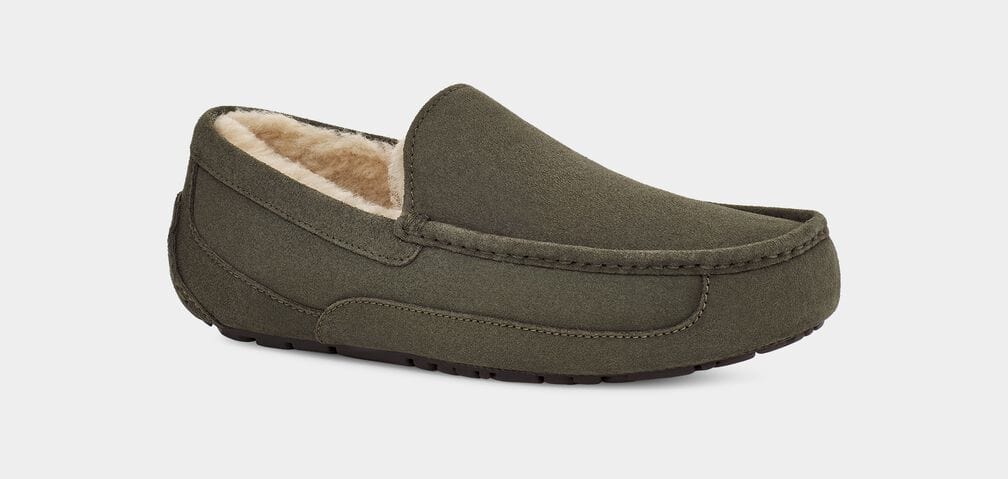 Ascot Suede - Image 22