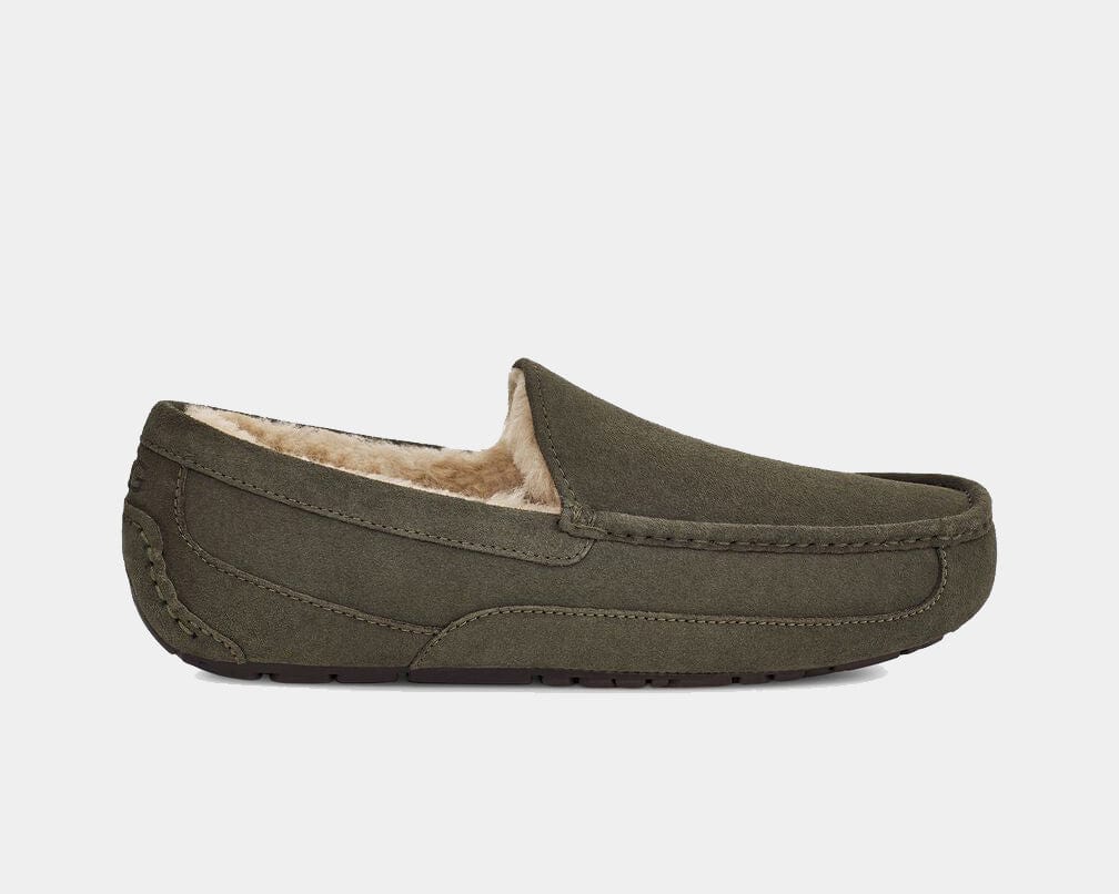 Ascot Suede - Image 23
