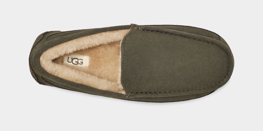Ascot Suede - Image 24