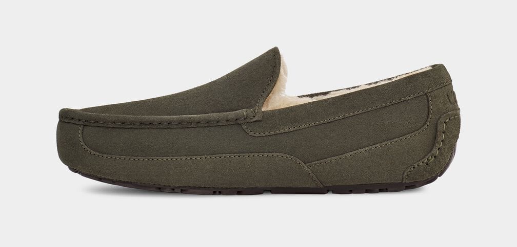 Ascot Suede - Image 25