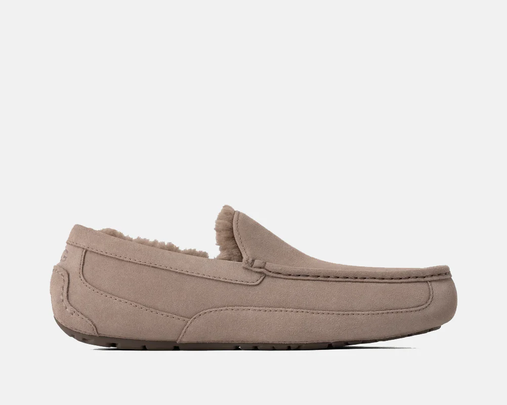 Ascot Suede - Image 32