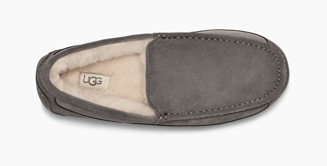 Ascot Suede - Image 9