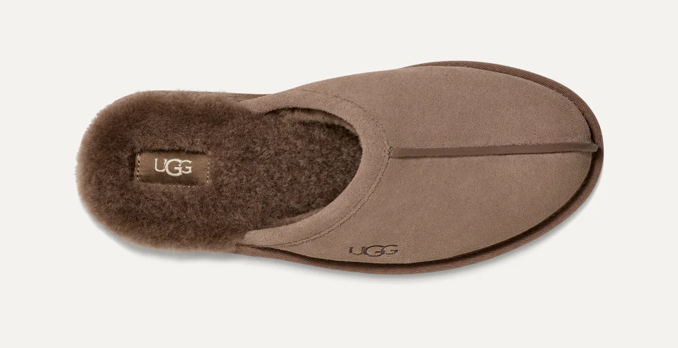 Scuff - Image 33